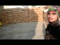 घर में रख था जो मक्का उसकी तुलाई हो गई 👨🌾❤ ||Guru Vlogs