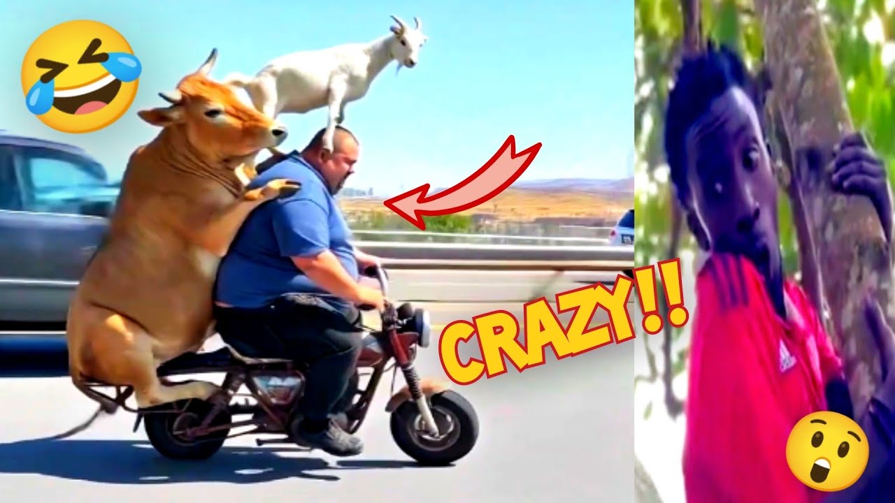 CRAZY Moments Caught on Camera 😭😂 | You Won’t Believe This!