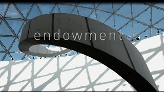 The Dalí Museum: Endowment screenshot 3