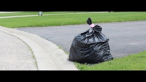 Unsound Chess Openings and How to Exploit Them