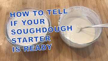 How to tell if your Sourdough Starter is Ready to Bake