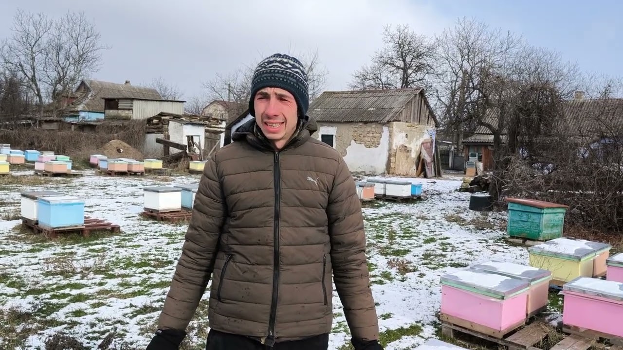 Краштест пасеки Морозами 🥶🥶🥶🐝
