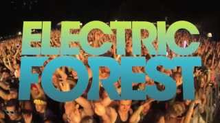 Electric Forest 2013 - Benny Benassi