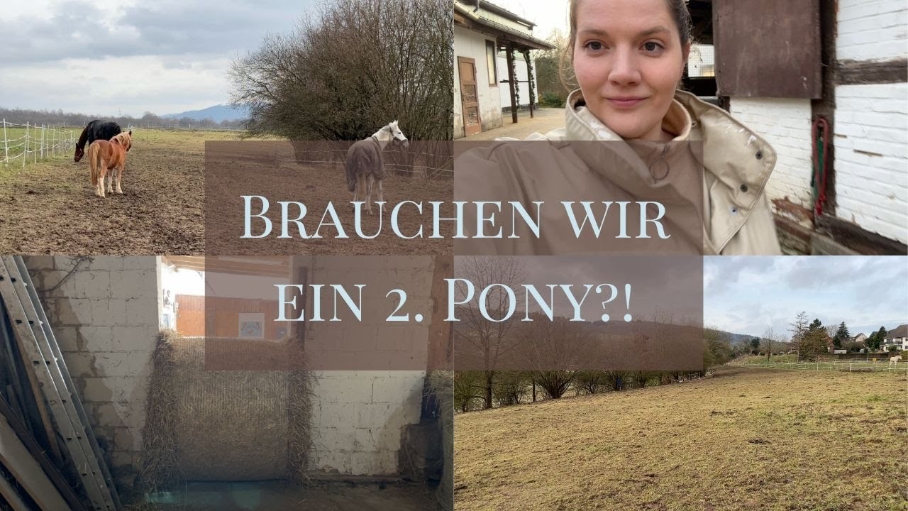 Trauriges Pony? Luuk wird gemobbt 👀