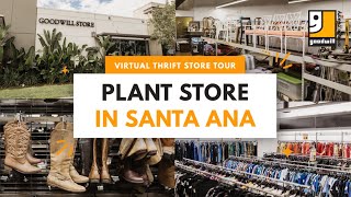 Santa Ana Plant Store | VIRTUAL THRIFT STORE TOUR