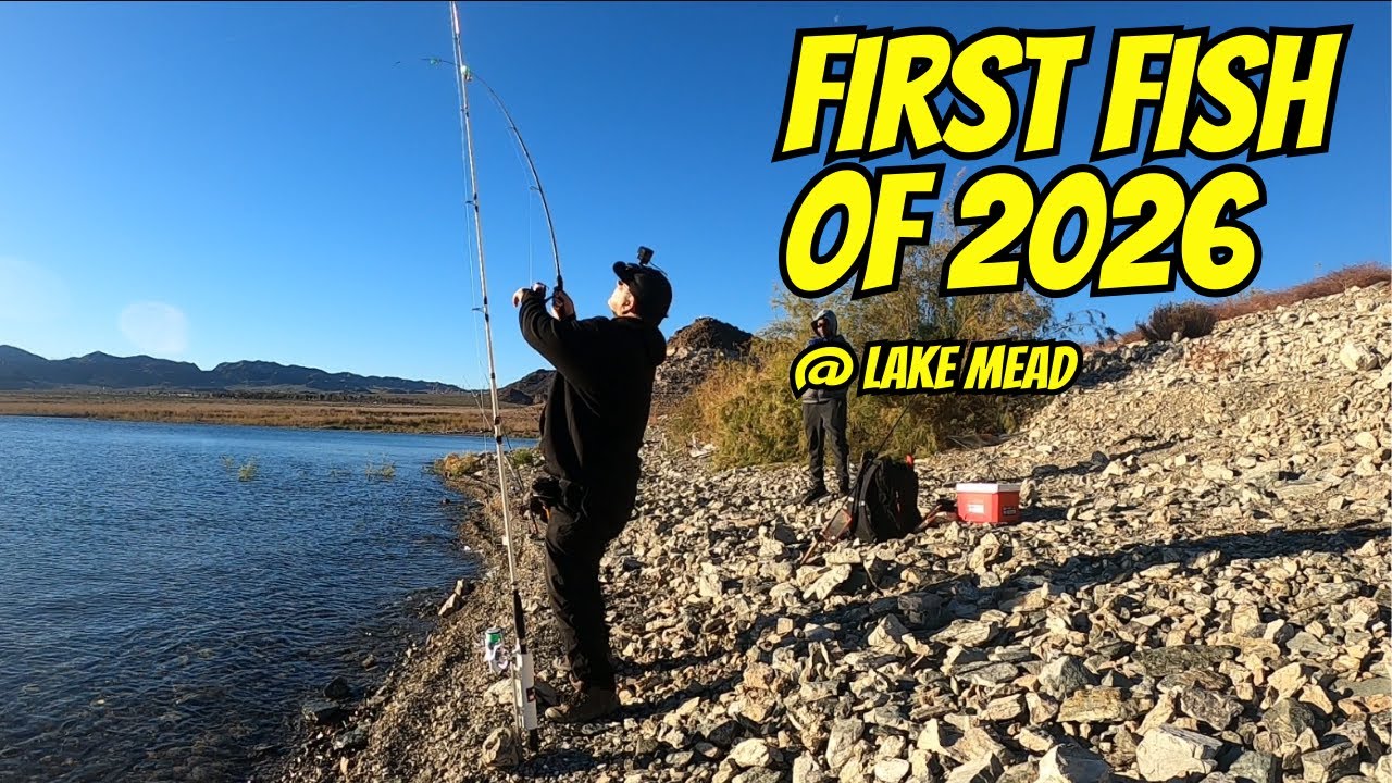 Первая рыба 2026 года на озере Мид.
