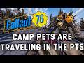 The Pet Update For Fallout 76 Just Got Released On The PTS