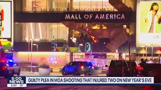 Guilty plea in Mall of America shooting that injured 2 on New Year's I KMSP FOX 9
