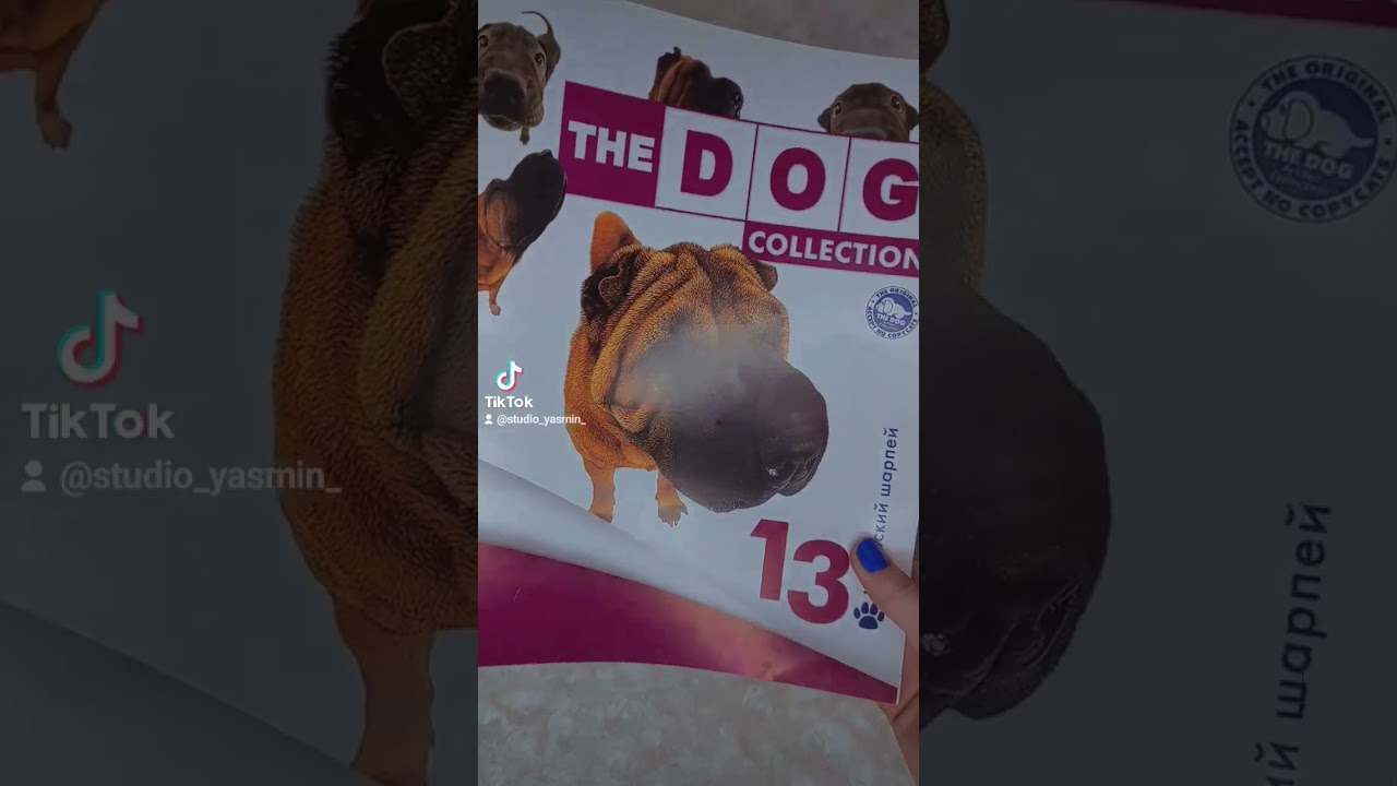The Dog Collection 13 выпуск Китайский шарпей 