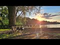 Willow Lake, Fenland Fisheries 28th June to 2nd July 2023. Carp Fishing