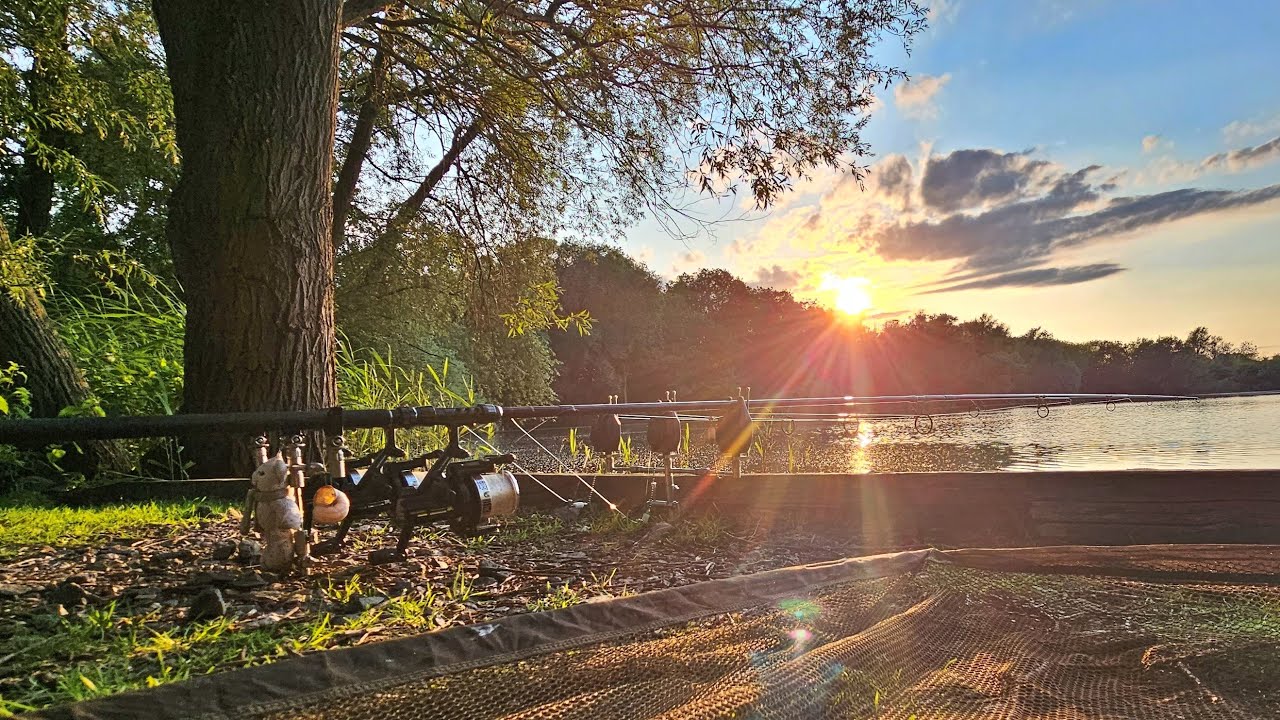 Willow Lake, Fenland Fisheries 28th June to 2nd July 2023. Carp Fishing