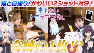 TVアニメ「あやかしトライアングル」連動企画『シロガネを探せプロジェクト！』#02