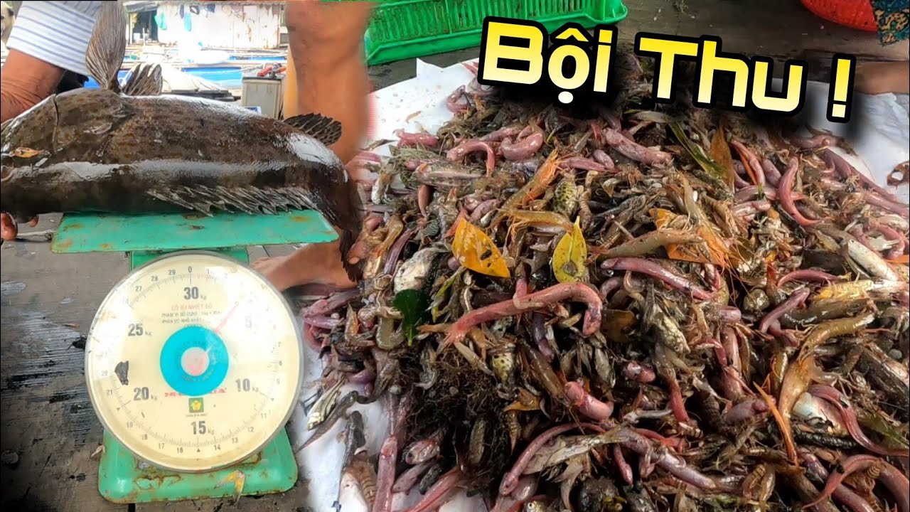 Đóng đáy trúng rất nhiều Cá Kèo Đỏ & con Cá Mú bự chảng | GĐCG #689