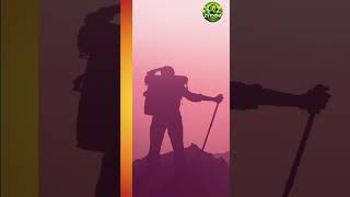 حل مراحل (31-40)  كلمات متقاطعة كراش : لعبة تسلية وتحدي screenshot 5