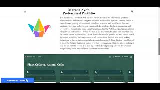 Professional Portfolio Reflection