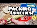 I tried the vegetable coil thing! - Come pack lunches with me - Bella Boo's Lunches