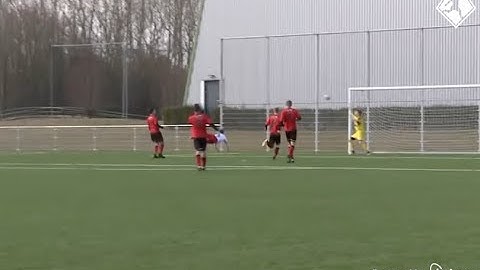 Koud? Het Moment van de Week warmt je op