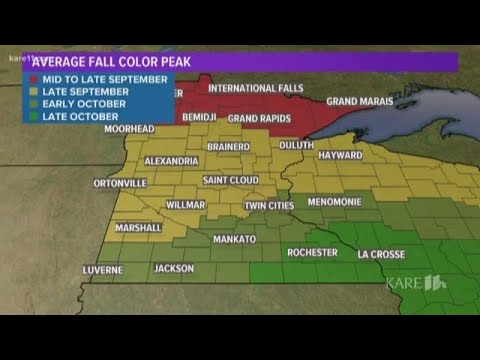 What Happened To Laura Becker Kare 11