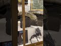 alien 京橋エドグラン