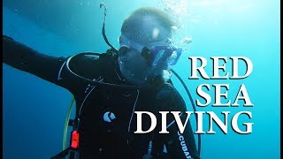 Red Sea Scuba Diving (Aboard the Mistral), January 2018