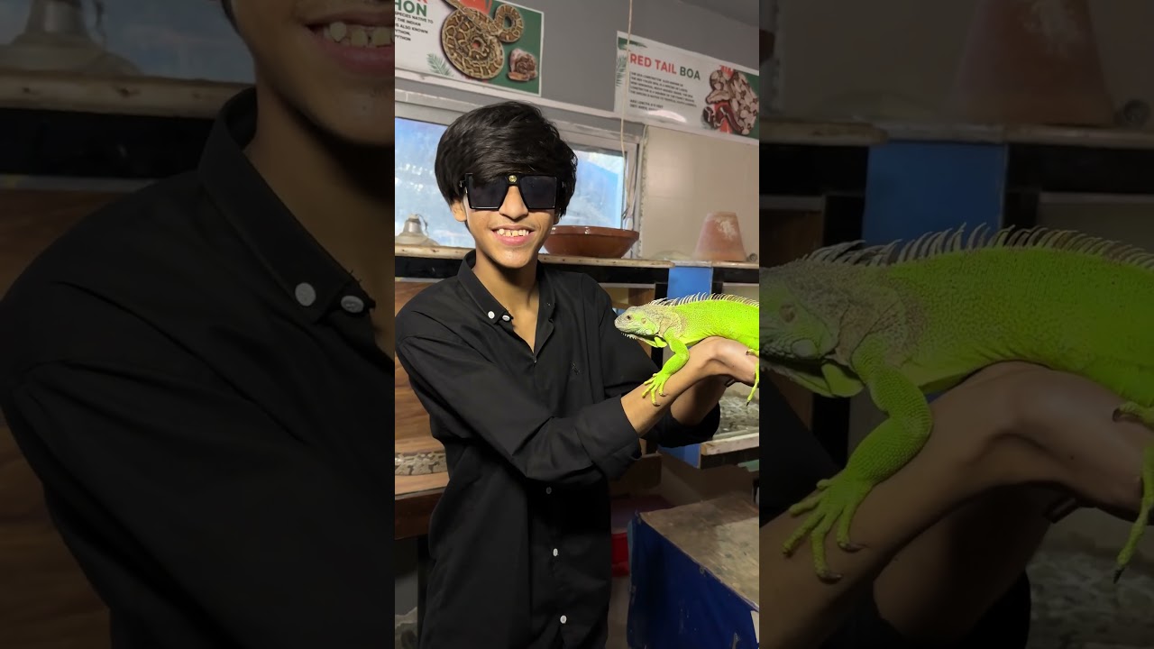 BEST ZOO IN KARACHI 🦁PART-1  