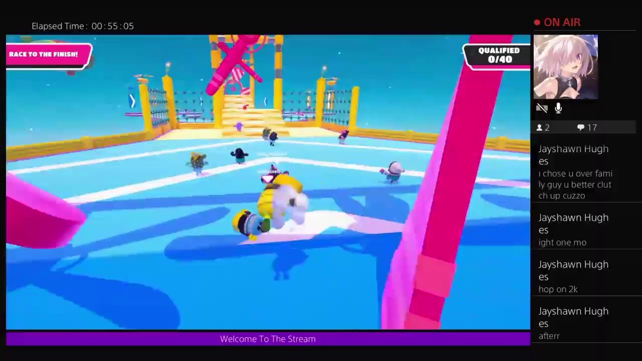 Fall Guys Ultimate Knockout. Best Player!!