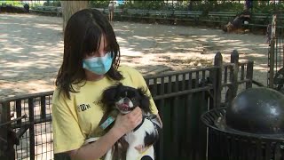 NYC enters Phase 3 of reopening amid COVID-19