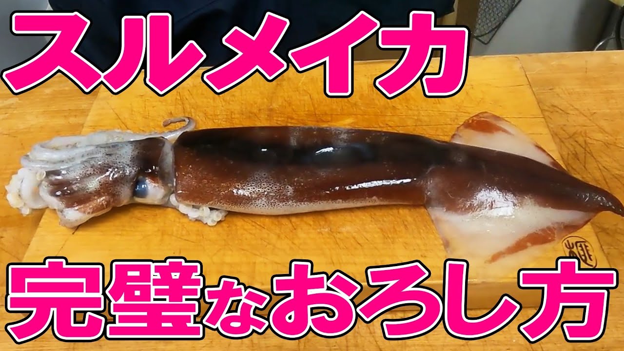 【徹底解説！】 するめいかのさばき方 【魚さばき教室・せり人ムタロー】