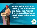 Synergistic Anticancer Activity of Cannabinoids & Terpenes in Triple Negative Breast Cancer