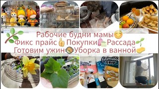 РАБОЧИЕ БУДНИ МАМЫ😊ФИКС ПРАЙС👍ПОКУПКИ🛍ОГОРОДНЫЕ ХЛОПОТЫ🌱РАССАДА🌿ГОТОВИМ УЖИН🥘УБОРКА В ВАННОЙ🌛