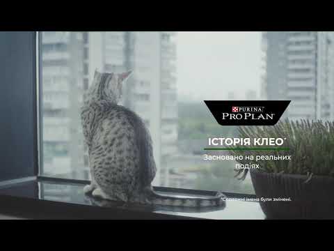 Сухой корм для котов Purina Pro Plan Sterilised с лососем 10 кг