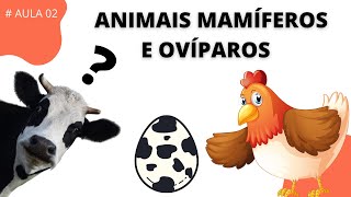Animais Mamferos E Oviparos
