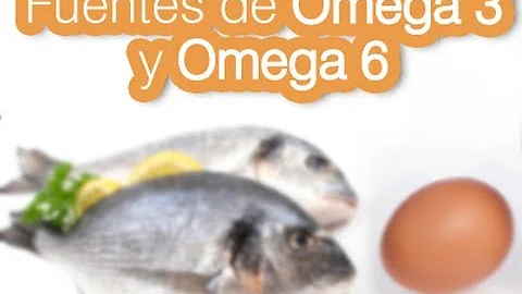 Onde se encontra DHA?