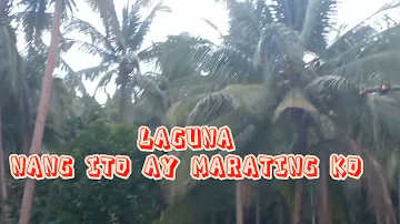 laguna, song by: sampaguita