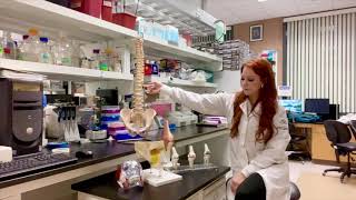Learn more about Dr Wendy s career as a Cartilage Engineer Scavenger Hunt Innovation Odyssey