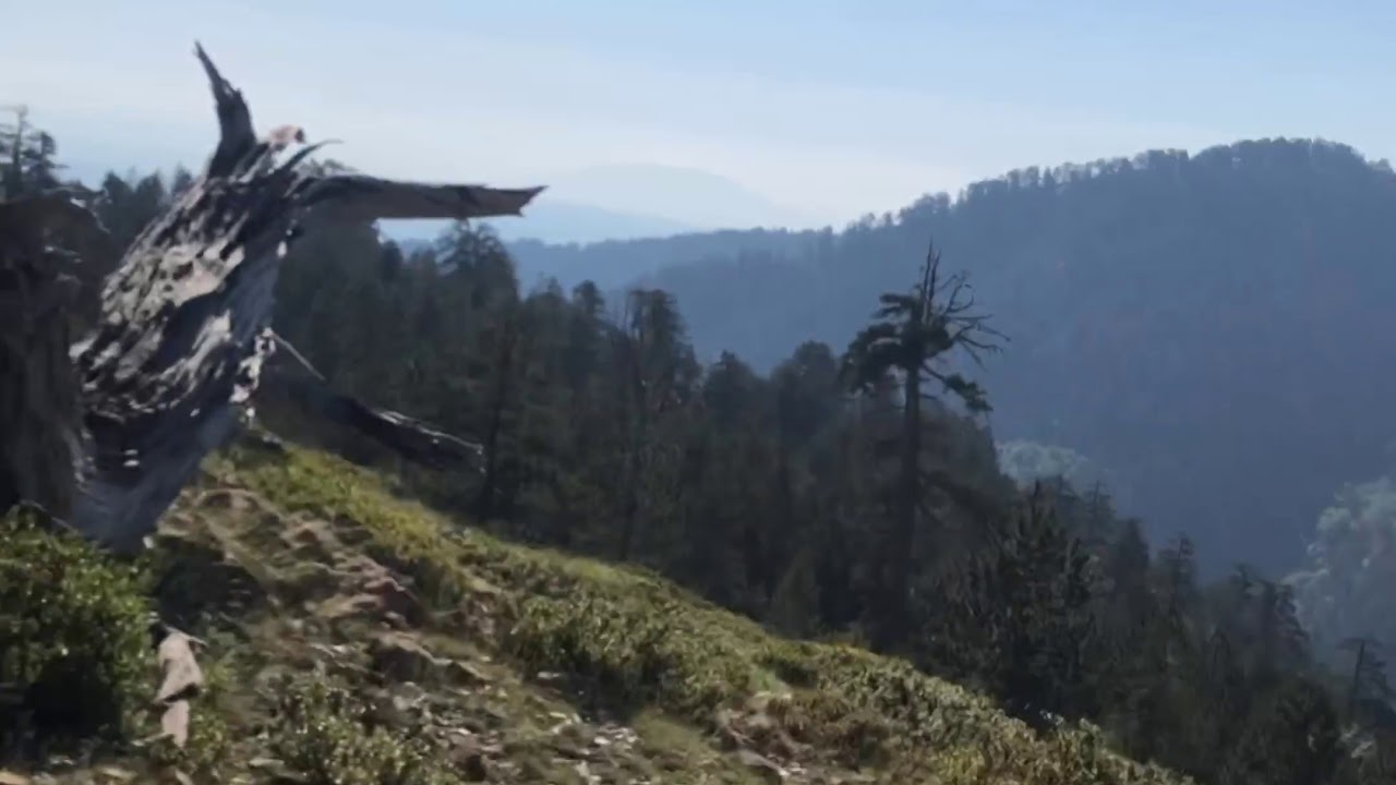 Ιστριας -istarski gonic