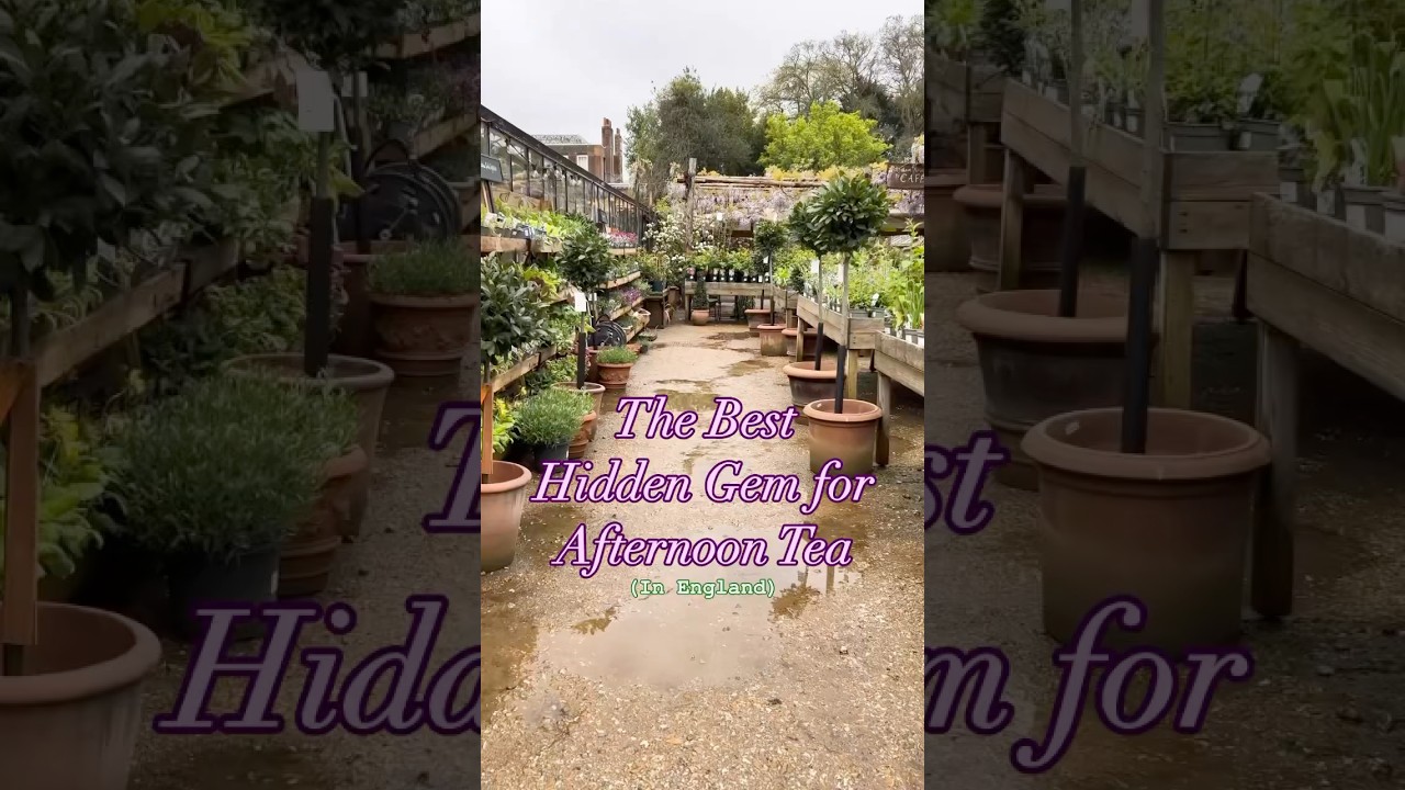 The Best Hidden Gem for Afternoon Tea 