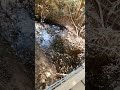 A natureza