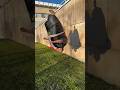 Fat Parkour #shorts thumbnail