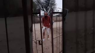 Shikari Is Back Parte-1