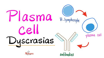 Multiple Myeloma, Waldenström macroglobulinemia, MGUS, MGRS - Plasma Cell Dyscrasias - Introduction