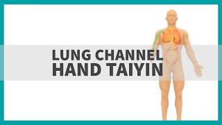 TCM Anatomy: Lung Channel of Hand Taiyin