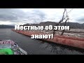 Сейчас я вам кое-что покажу...