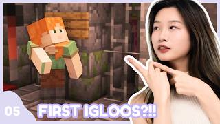 I Died With No Spawn Set… but Found Polar Bears?! 🐻‍❄️ [My First Minecraft World Ep. 5]