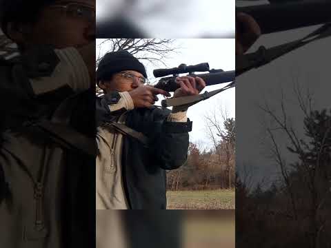 250 Yard Plink .22 LR #shorts - CZ 457, CCI Clean 22, Leupold FX-I