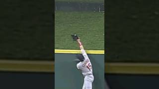 Celebrity 5 Incredible Jim Edmonds Catches #shorts Wealth