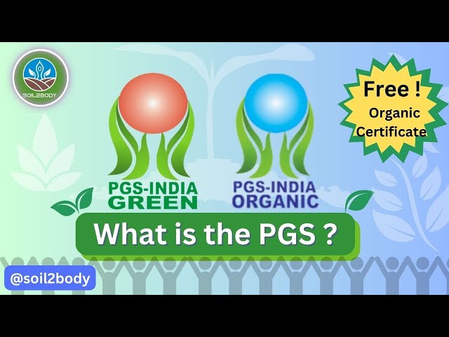 Organic india Logo PNG Vector (CDR) Free Download