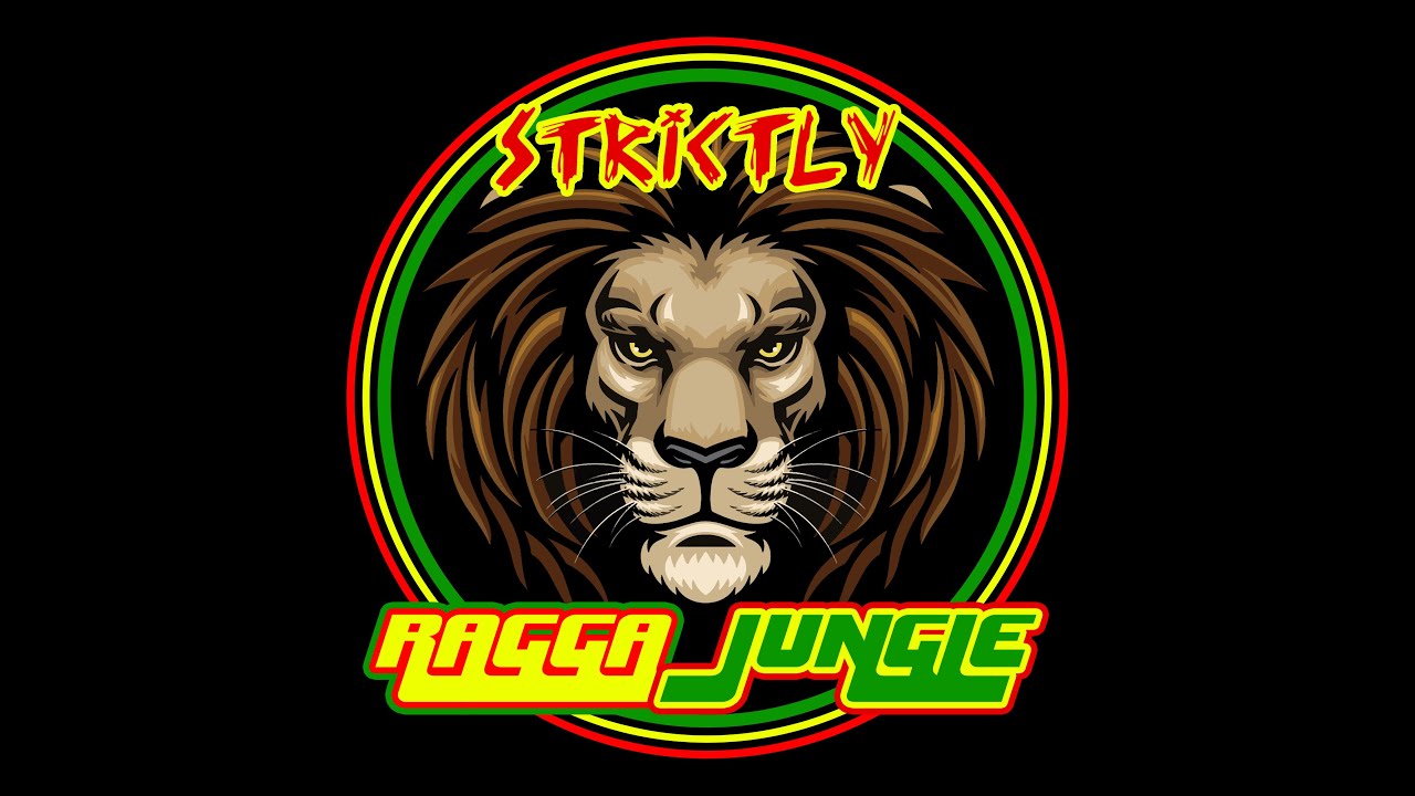 BEST DRUM AND BASS MIX 2021 DJ SILVA B LIVE AND DIRECT 04092021