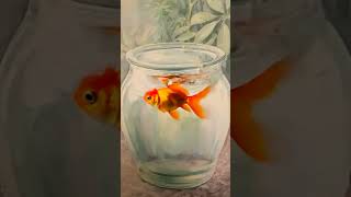 Fish bowl watercolor animation | Painting by Mehrdad Samet Tehrani