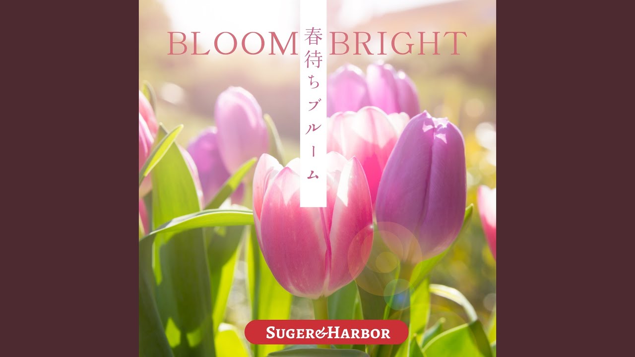 はじまりの合図